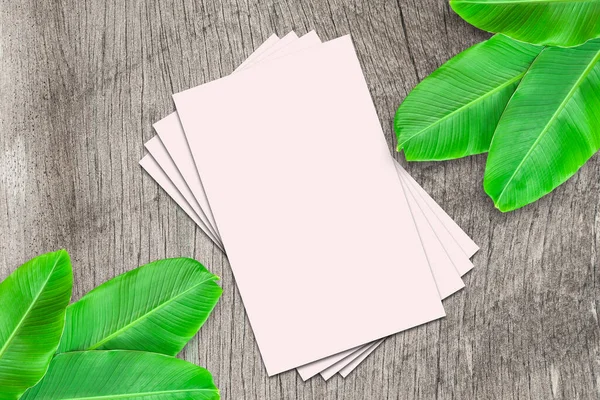 Card Mockup, Blank Card Picture, Empty White Card Picture