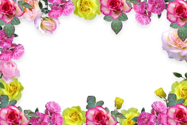 Flower border Frame Background, Flower Background, Floral Frame Background.