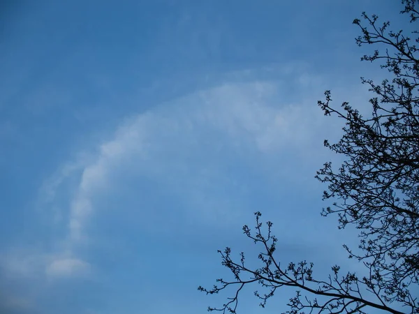 Wind Blaast Bewolking Bilhorod Dnistrovsky District Odesa Regio Oekraïne — Stockfoto