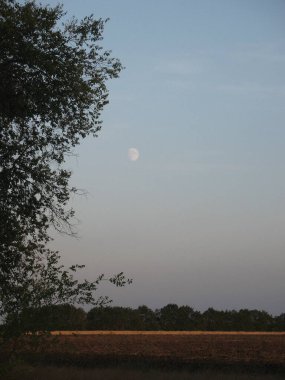 Ay 'la akşam manzarası ve bir tarla. Odesa bölgesi, Bilgorod-Dnistrovsky bölgesi, Ukrayna