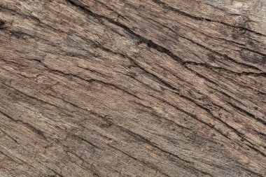 Eski grunge karanlık dokulu ahşap arka plan, eski kahverengi ahşap doku, üst yüzeyine görüntülemek ahşap lambri