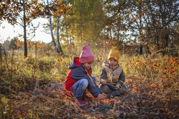 두 형제는 가을 산책을 하면서 가을 숲에서 휴식을 취한다. 야외 생활, 활동적 인 가족 주말 — 스톡 사진