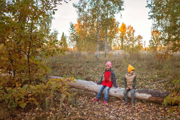 Dwoje rodzeństwa siedzi na suchym upadłym drzewie w pięknym jesiennym lesie podczas rodzinnego jesiennego spaceru — Zdjęcie stockowe