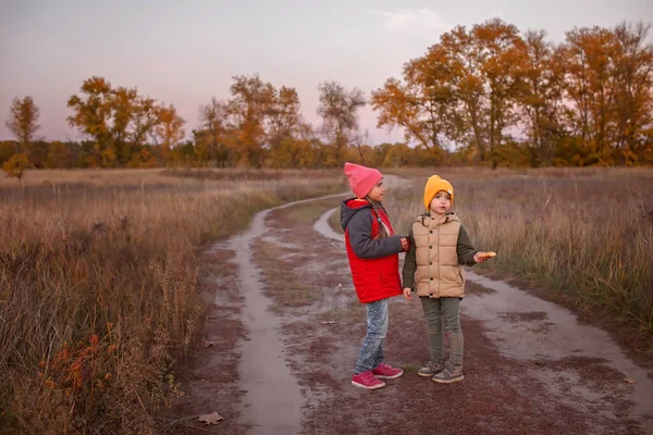 Dos hermanos se paran cerca de un camino rural y conversan durante un hermoso paseo por el bosque otoñal — Foto de Stock