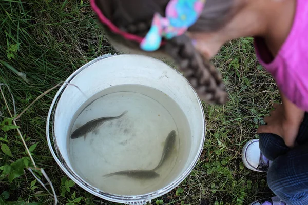 Nettes kleines Mädchen schaut in einen Eimer mit Wasser und ein paar Fischen — Stockfoto