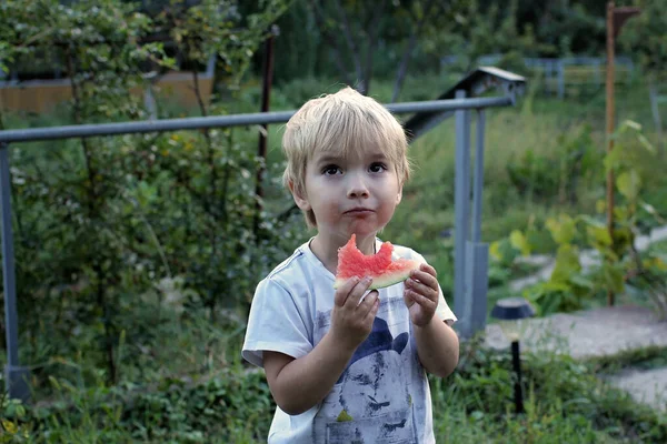 Frutas de verano y niños — Foto de Stock