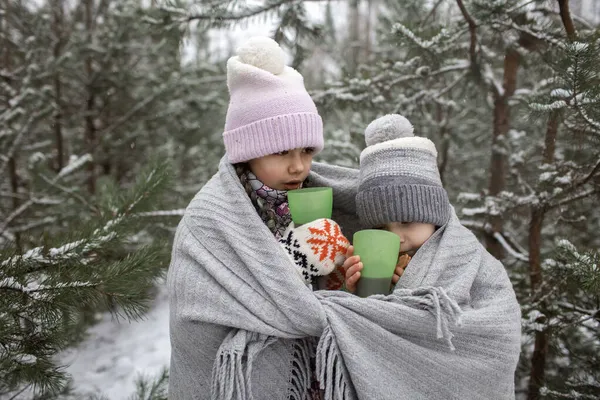Szczęśliwe dzieci piją herbatę podczas zimowego pikniku w lesie w śnieżny dzień, podekscytowany spacerami rodzinnymi — Zdjęcie stockowe