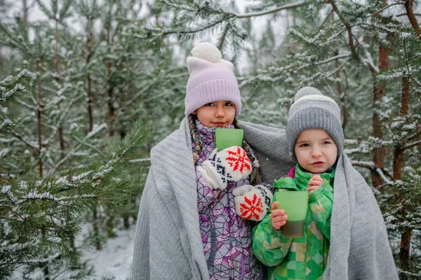 Щасливі діти п'ють чай під час зимового пікніка в лісі на сніговий день, схвильовані сімейні прогулянки — стокове фото