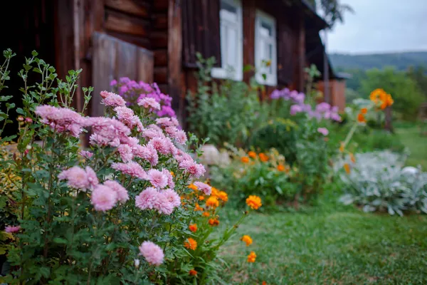 Colorful flowerbed in front of old wooden house among green mountains, summertime in countryside — Stock Photo, Image