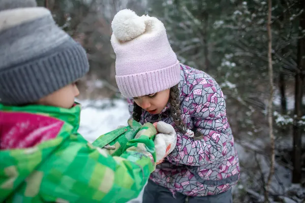 Flicka andas på frysta händer av sin bror att värma dem under familjen promenader i skogen på vintern — Stockfoto