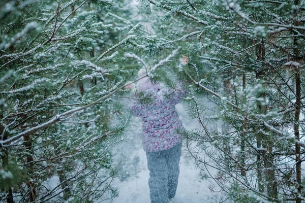 Rzadki widok dziewczyny podczas rodzinnego spaceru po śnieżnym lesie w zimowej krainie czarów, z powrotem, pogoda — Zdjęcie stockowe