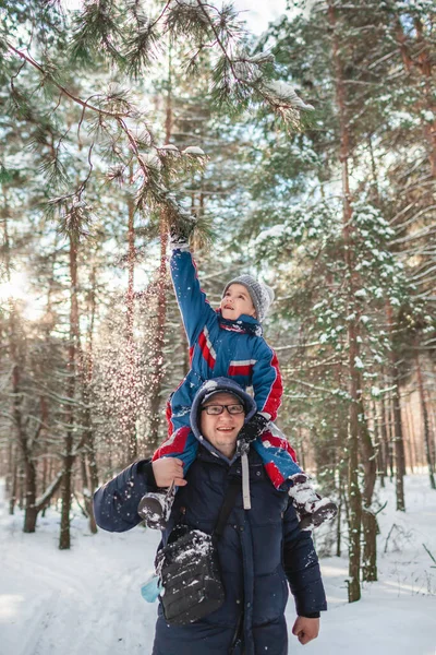Papa trägt seinen kleinen Sohn auf Schultern, damit er den Ast erreichen und den Schnee vom Baum schütteln kann — Stockfoto