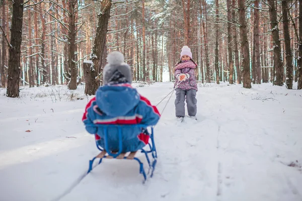 Przyjaciele bawią się w Krainie Czarów, mała dziewczynka ciągnie sanie z bratem przez zimowy las — Zdjęcie stockowe