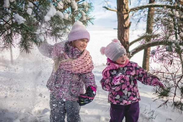 Glada flickvänner njuta av vintersäsongen och hälla snö från träd i skogen på solig vinterdag — Stockfoto