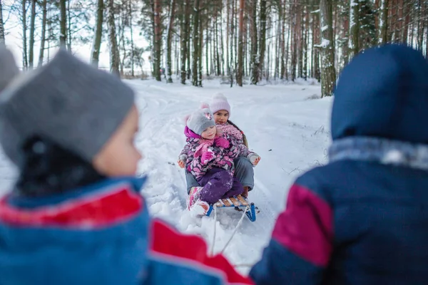 Vänner har kul i underlandet, små pojkar drar en släde med systrar över vinterskogen — Stockfoto