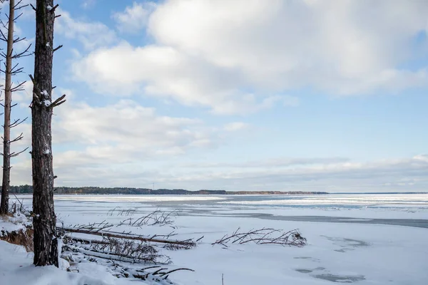 Paesaggio invernale con pineta e ghiacciato lago ghiacciato come un deserto, sfondo — Foto Stock