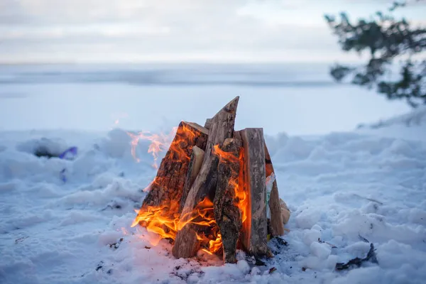 家族の冬のピクニック。冬の旅行中に凍った湖の岸のたき火 — ストック写真