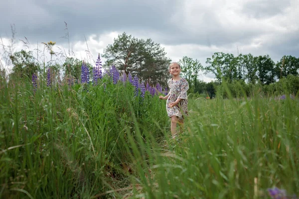 Kleines Mädchen läuft zwischen lila Lupinen im blühenden Feld. Gesundheit, Natur, Sommer. Glückliche Kindheit — Stockfoto