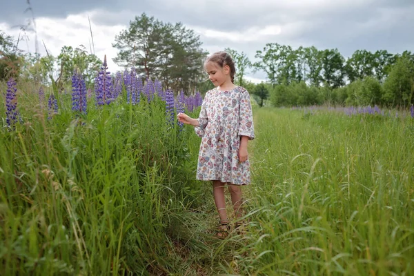 Маленькая девочка бегает среди фиолетовых люпин в цветущем поле. Здоровье, природа, лето. Счастливого детства — стоковое фото