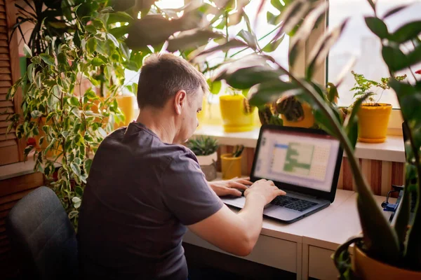 Man works with laptop remotely from home. Distant work place with green-nature inspired home office