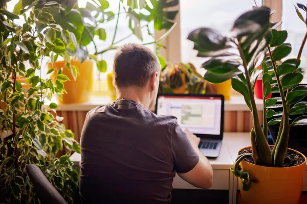 Man works with laptop remotely from home. Distant work place with green-nature inspired home office