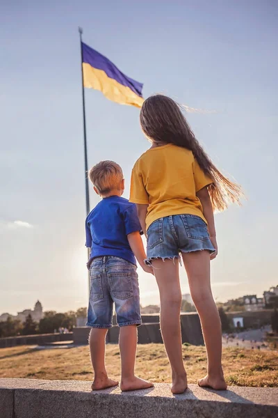 独立日庆祝活动。带有新的最大国旗的基辅全景 — 图库照片