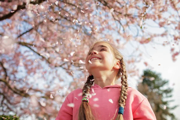 A girl enjoys sakura blossoms while walking through the cherry orchard in spring