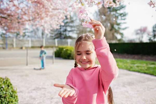 Una chica disfruta de flores de sakura mientras camina por el huerto de cerezos en primavera — Foto de Stock