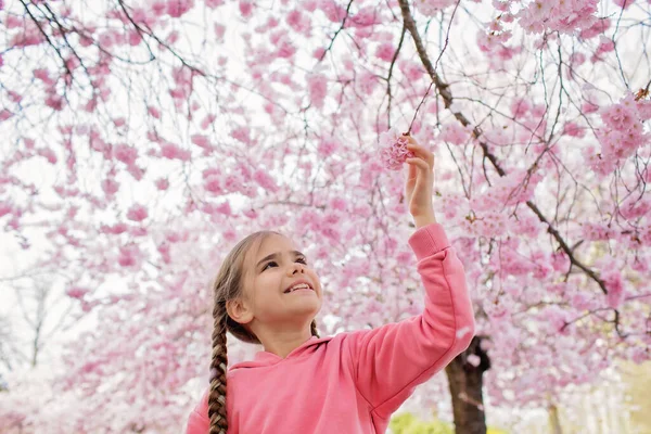 Kleutermeisje ruikt een bloeiende tak van sakura tijdens het wandelen in bloesemtuin. Gelukkige lentevibes — Stockfoto
