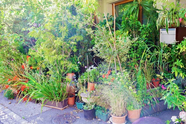 Uma Casa Com Jardim Diante Porta Típica Aldeia Europeia Pequena — Fotografia de Stock