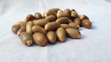 Endonezya 'dan çiğ melinjo kabuğu