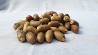 Melinjo 'yu emmeye hazır hale getirin. Endonezya 'dan yerel tohum