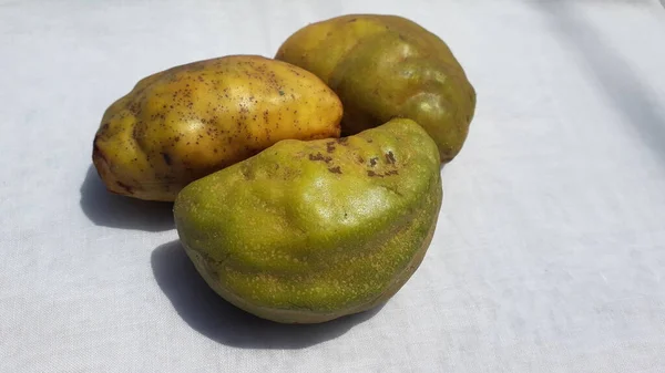 Fruta Fresca Kopi Anjin Gor Namnam Anjing Anjing Sobre Fondo — Foto de Stock