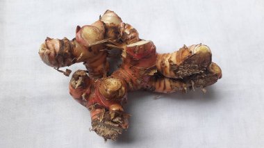 Beyaz arkaplanda Lengkuas veya laos veya galangal