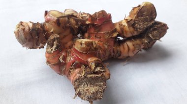 Beyaz arkaplanda Lengkuas veya laos veya galangal