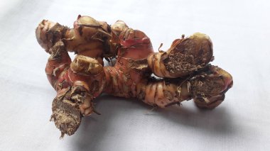 Beyaz arkaplanda Lengkuas veya laos veya galangal