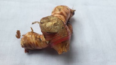 Beyaz arkaplanda Lengkuas veya laos veya galangal