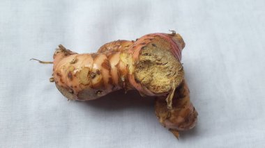 Beyaz arkaplanda Lengkuas veya laos veya galangal