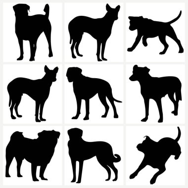 Hayvan Köpek Çizimi Vektör Sanatı