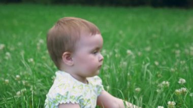 Küçük sevimli bir çocuk elinde çiçeklerle bir tarlada oturuyor. Küçük bir kız parkta tek başına sürünüyor. Yüksek kalite 4k görüntü