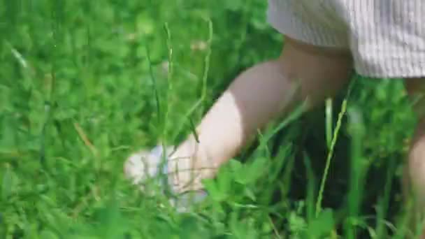 Petite Fille Mignonne Short Rose Marche Dans Herbe Haute Joli — Video