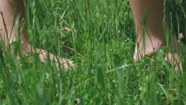 Teenager Walks Barefoot Summer Young Green Grass Teenager Walks Barefoot — Stock Video