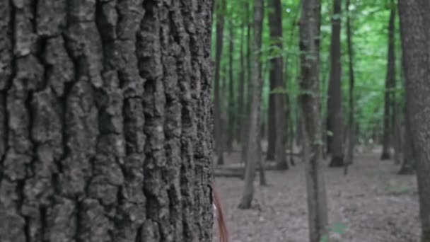 Cute Teenage Girl Peeks Out Tree Girl Has Fun Forest — стоковое видео