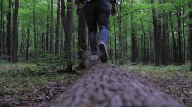 Ekose gömlekli ve kotlu bir kadın ormanda devrilmiş bir ağaç boyunca yürüyor. Yüksek kalite 4k görüntü