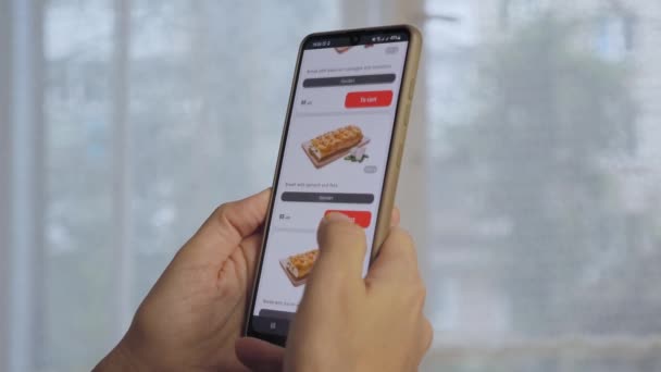 Woman Orders Junk Food Phone Girl Chooses Food Order Website — 图库视频影像