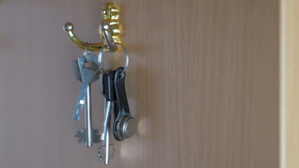 Womans Hand Takes Bunch Keys Cabinet Hook Hallway Girl Removes — Stock Video