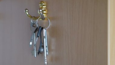 A womans hand takes a bunch of keys from a cabinet hook in the hallway. The girl removes the keys to the doors from the hanger before the walk. High quality 4k footage