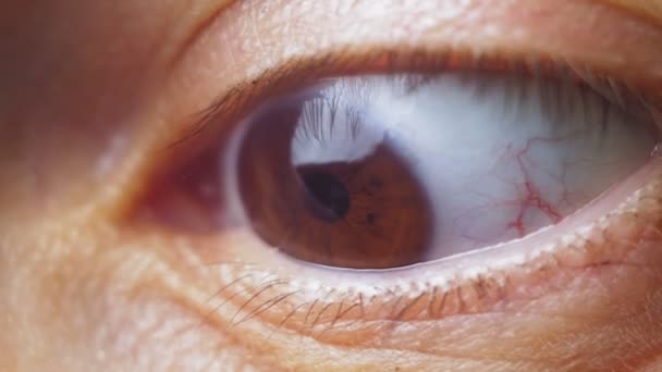 Девушка Широко Раскрывает Свои Карие Глаза Удивления Макровидео Человеческого Глаза — стоковое видео