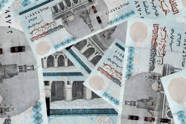 Egypt currency, Five pounds isolated on white background
