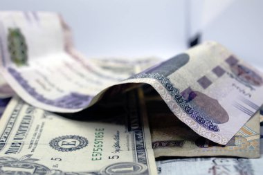 Different currencies shown in the reverse side